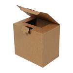 Caixa Kraft Pronta 22x15x20 cm