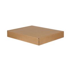 Caixa Ziplock Dupla Ondulada 77x54x8 cm Kraft