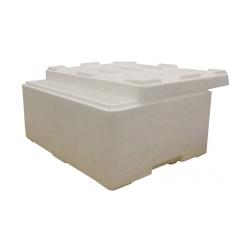 Caixa de Espuma de Esferovite 39x29x18 cm Caixa para Carne E Peixe 5Kg