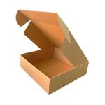 Caixa de Cartão Kraft 25x16x12 cm Com Fecho