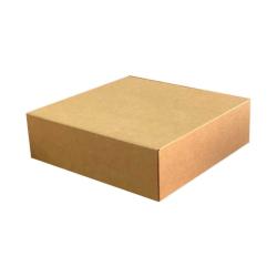 Caixa de Cartão Kraft 25x16x12 cm Com Fecho