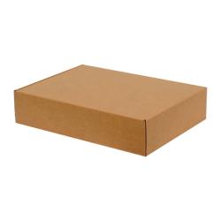 Caixa de Cartão Kraft 30x20x5 cm Com Fecho